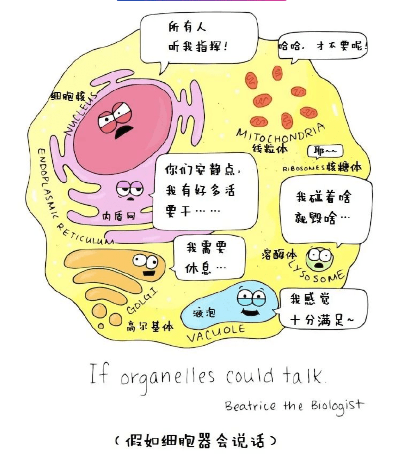 www.yalijuda.com_微信图片_20230310140046_jcWRT5FGen.png